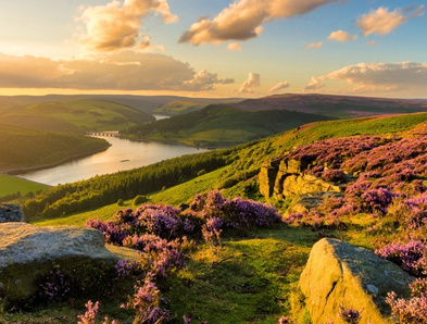 country collection tile small.jpg